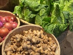 -蓉和妈妈菜·芙蓉花开(高新店)