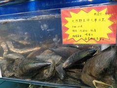 -蚝专家(北滘店)