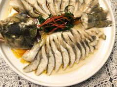 -悦芽照护月嫂+育儿嫂(杭州店)