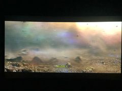 -百丽宫影城(嘉里汇店)