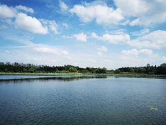 -溱湖国家湿地公园