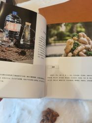 -巍阁月子中心(南山店)