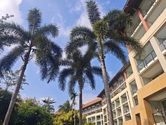 -三亚海棠湾万丽度假酒店