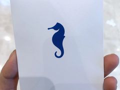-海马体照相馆(上海月星环球港店)