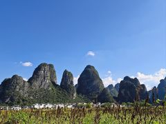 -钟山水墨田园