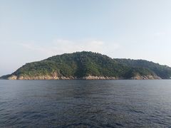 -五彩凉山自助西昌烧烤(柳翠路店)