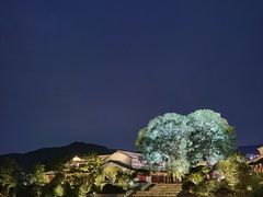 -雅达·阳羡溪山小镇中心