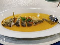 鸡油花雕蒸生态大黄鱼-麟1929(外滩店)