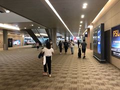 -上海浦东国际机场-T2航站楼