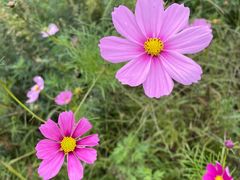 -汉长安城未央宫国家考古遗址公园