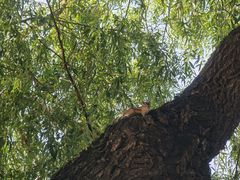 -长春市南湖公园