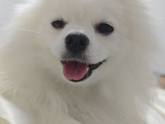 -联合动物医院(光谷诊疗中心)