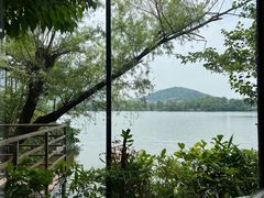 -东湖食堂·湖景餐厅•会议