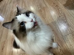 -白兔子密室(长寿路店)