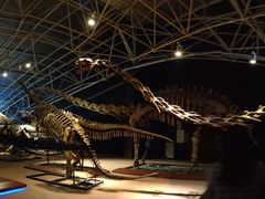 景点-世界恐龙谷景区