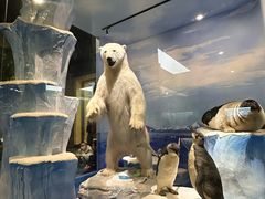 -国家自然博物馆