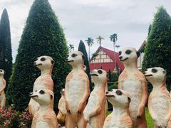 -东芭乐园