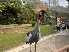 -吉隆坡雀鸟公园