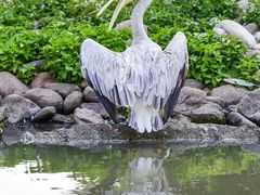 -上海野生动物园