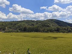 -南泥湾风景区