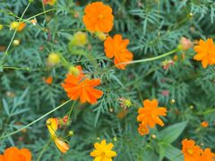 -洋湖国家湿地公园