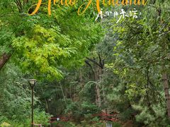 -元大都城垣遗址公园