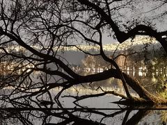 -楼外楼(西湖景区孤山路店)