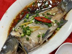 -先鲜鲫鱼粥
