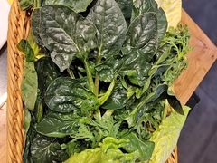 -古蜀人家火锅(文明店)