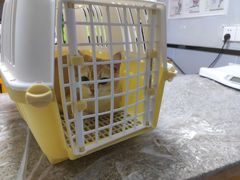 -渲嗳动物医院(异宠·复杂内科转诊中心·玖洲道富华里分院)