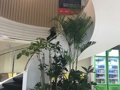-美菲特健身(华贸店)