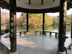 -西湖外事游船(花港观鱼码头)