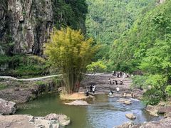 -刘伯温故里景区百丈漈