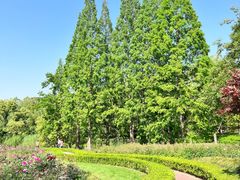 -昆山城市生态森林公园