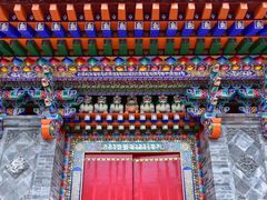 -塔尔寺菩提树
