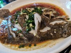 多宝鱼-新沙家浜(城南东路店)
