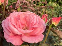 -人民公园(罗湖区)