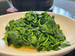 -碧丽宫大酒店(召稼楼店)