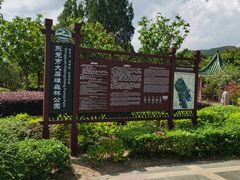 -大屏嶂森林公园