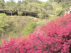 -木兰云雾山