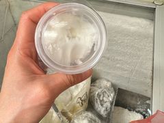 -洪馨椰子