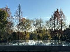 -杭州西子湖四季酒店·金沙厅