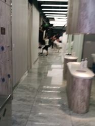 -魔型社