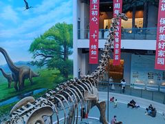-辽宁古生物博物馆