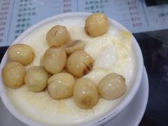 莲子双皮奶-义顺牛奶公司