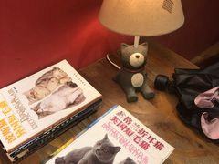 -猫色咖啡·猫咖