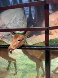 -酷嗒动物文化乐园(cutezoo西溪乐天城店)