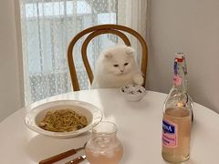 -猫色咖啡·猫咖