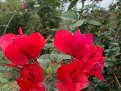 -中国移动南方基地