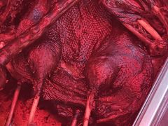 -金元源(新星店)